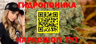 стаф Аргун