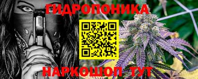 стаф Аргун