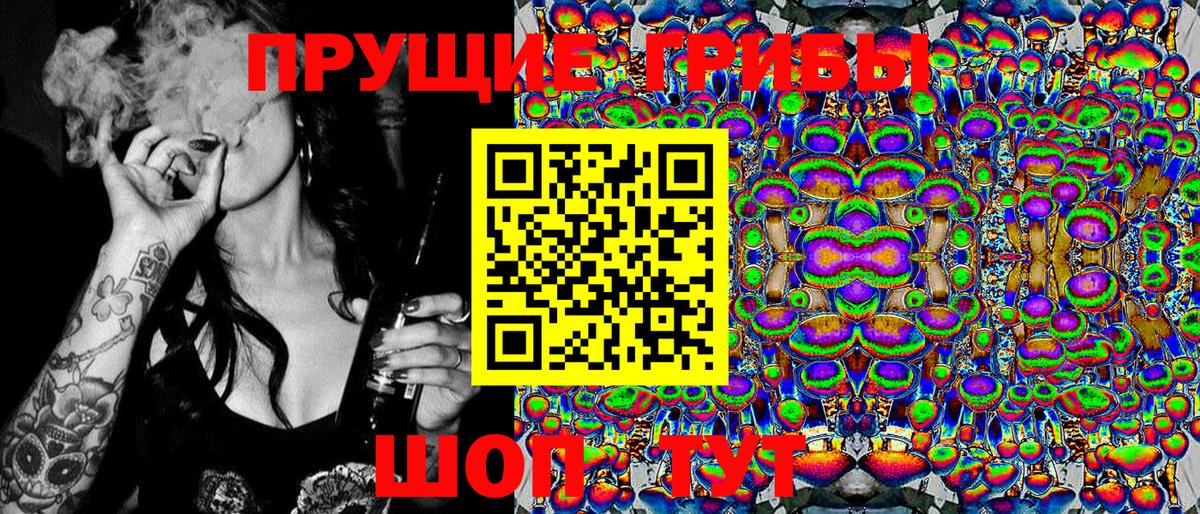 Галлюциногенные грибы Psilocybe Белорецк